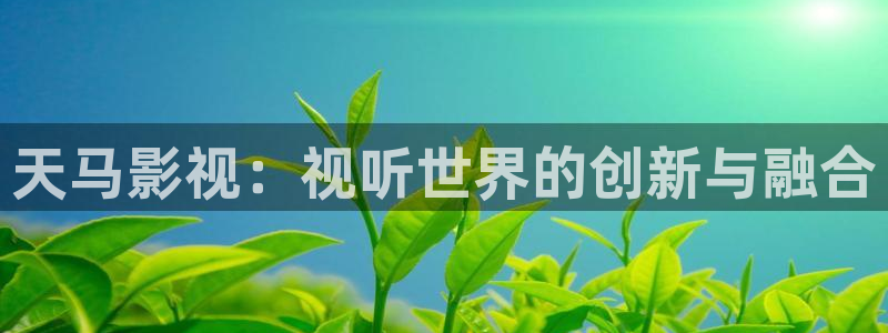 yy8090青柠影院：天马影视：视听世界的创新与融合