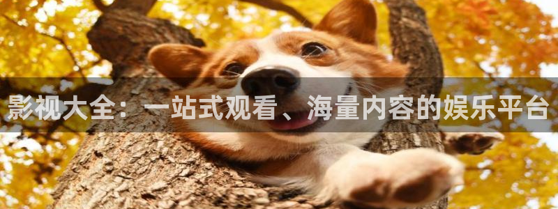 青柠影院电视剧免费播放：影视大全：一站式观看、海量内容的娱乐平台