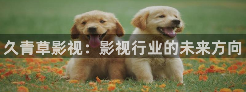 青柠电影在线观看免费