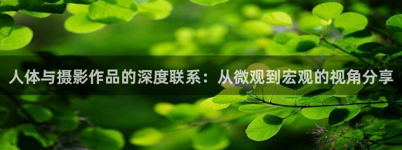 青柠影院在线观看免费