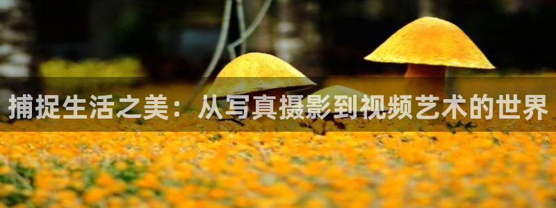 青柠视频在线