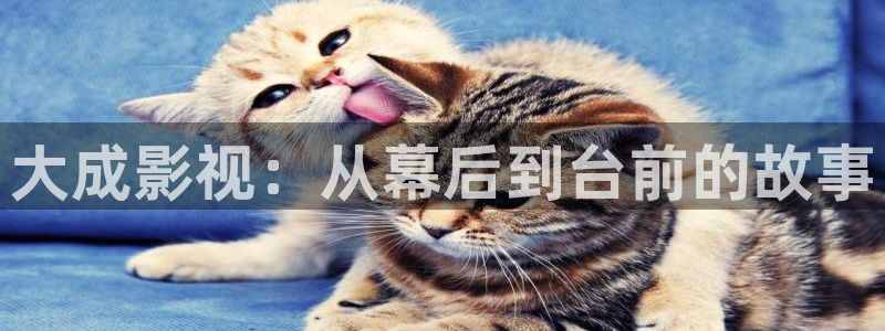 青柠影院免费观看电视剧