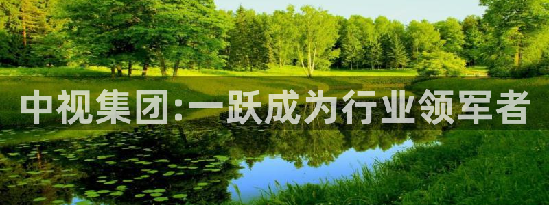 青柠免费电影网站